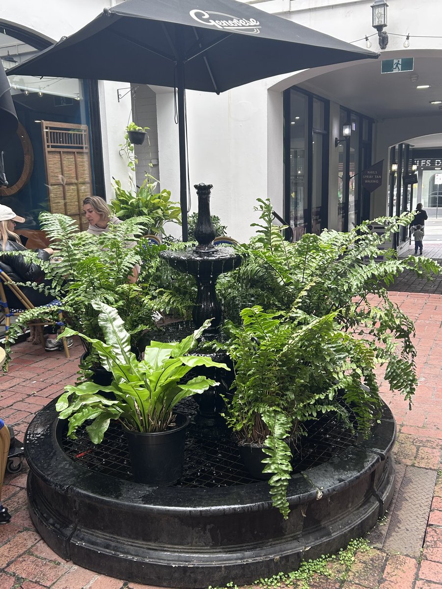 Tiered fountain and ferns in the courtyard outside Otello Espresso